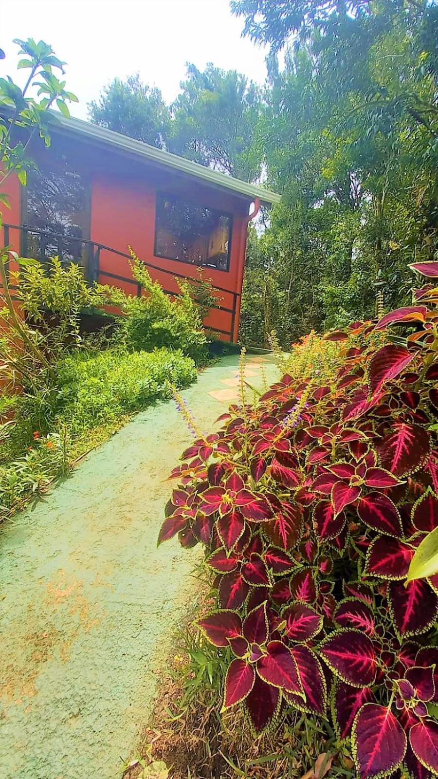 Casa De Montana Tica Linda Villa Monteverde Eksteriør bilde